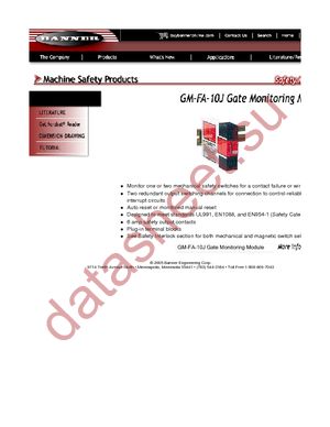 GM-FA-10J datasheet  